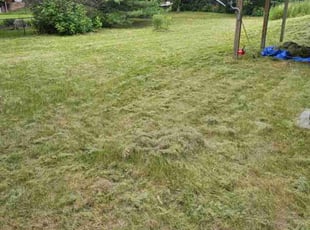 Cleanups by Michael Brant for Geoff T. in Woodbury, MN
