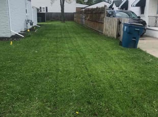 Kevin H.'s Lawn Mowing service result