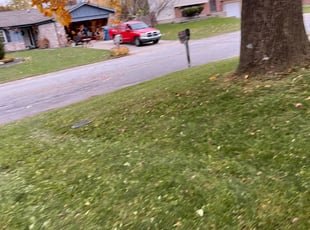 Leaf Removal by Evelyn Arteaga for Joseph H. in Indianapolis, IN