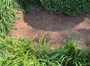 Weeding by Ira Anderson for Jeffery m. in Gainesville, GA