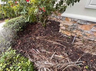 Weeding by Arely Elrod for Erin F. in Parrish, FL