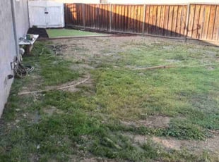 Cleanups by Steven Young for Teresa H. in San Jose, CA