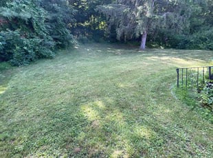 John I.'s Lawn Service service result