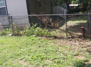 Bush Trimming by Rosalinda Vasquez for Carlos O. in River Oaks, TX