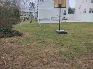 Leaf Removal by Wayne Barnes for Marie-Elize L. in Nottingham, MD