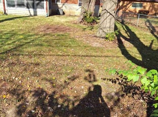 Leaf Removal by Timothy White for Whitney S. in Indianapolis, IN