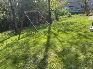 Reyes R.'s Lawn Service service result