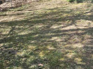 Cleanups by Terrence Hawkins for Eric S. in Fort Washington, MD