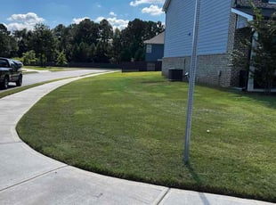 Karyn B.'s Lawn Mowing service result