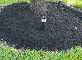 Landscaping by Domingo Rosas for Latoya J. in Spring, TX