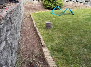 Bush Trimming by Otoniel Diaz for Priya S. in Bothell, WA