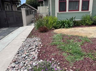 Cleanups by Nicholas Poulsen for Zaunte W. in San Diego, CA