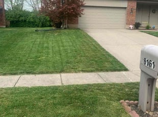 Jacqueline F.'s Lawn Mowing Service service result