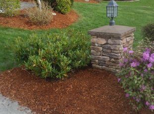 Weeding by Patrick Kibbe for Alicia M. in Puyallup, WA