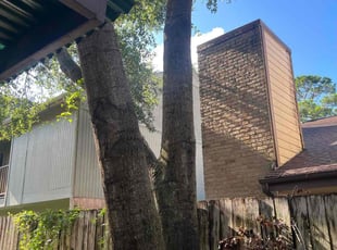 Cleanups by Paz Silva for Rohit J. in Houston, TX