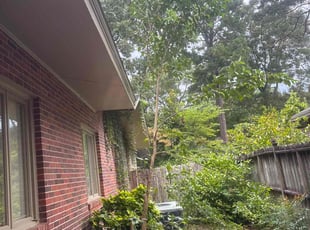 Stephanie M.'s Cleanups service result