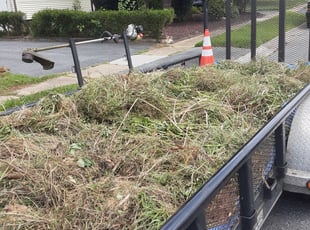 Cleanups by Bryan Crowder for Adam O. in New Castle, DE