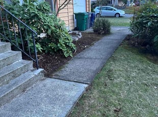 Leaf Removal by Robert Mcdermaid for Andrew C. in Redmond, WA