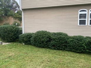 Bush Trimming by Jessica Porter for Victor A. in Glenarden, MD