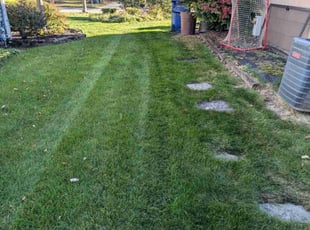 Terry D.'s Lawn Maintenance service result