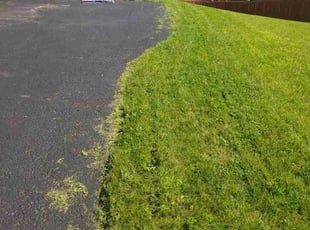 William C.'s Lawn Care service result