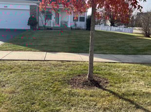 Leaf Removal by Jose Sanchez for Al Y. in North Aurora, IL