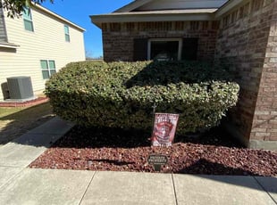 Bush Trimming by Lacy Dixon for Carrie M. in San Antonio, TX