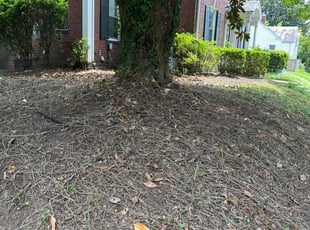Cleanups by James Mozelle for Tanya B. in Norfolk, VA