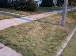 Cleanups by Jerome Glenn for Victoria C. in Milwaukee, WI