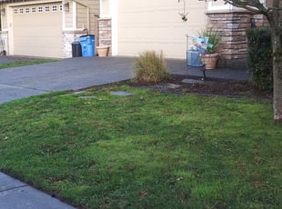 Bush Trimming by Jeffrey Preece for Jasmine A. in Vancouver, WA