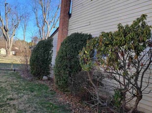 Bush Trimming by Adam Smith Kateera for Marta J. in Eagleville, PA
