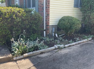 Cleanups by Joseph Muluya for Nena Lynn . in Catonsville, MD