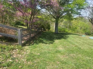 Bush Trimming by Nicholas Weber for Dana G. in Cincinnati, OH