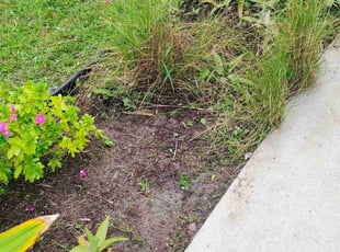 Weeding by Cheyanne Guzy for Britany A. in North Port, FL