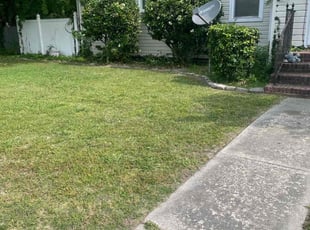 Bush Trimming by Nicholas Harter for Joshua P. in Portsmouth, VA