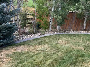 Weeding by Johanny Rodriguez Pineda for Anne B. in Arvada, CO