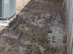 Leaf Removal by John Murtagh for Meghan J. in Palm Harbor, FL