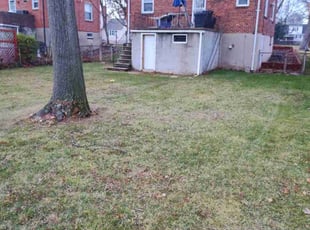 Constance C.'s Cleanups service result