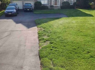 Kia B.'s Yard Cutting service result