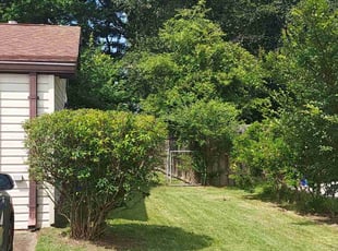 Dave W.'s Bush Trimming service result