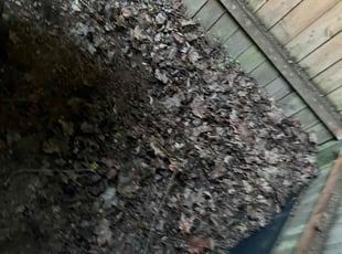 Leaf Removal by Richard Luiza Jr for Chante W. in Redmond, WA