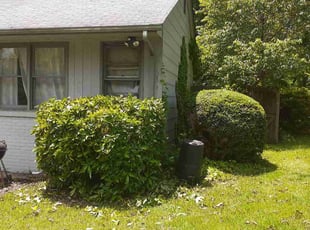 Bush Trimming by Paul Driver for Zachary M. in Greensboro, NC