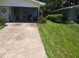 Steve A.'s Bush Trimming service result