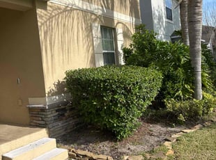 Bush Trimming by Patrick Paul for Matt -. in Winter Garden, FL