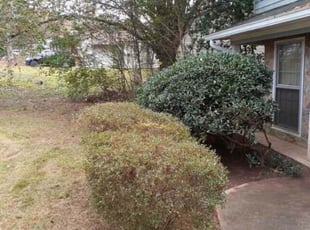 Bush Trimming by Onyeche Smith for Dominique L. in Fairburn, GA