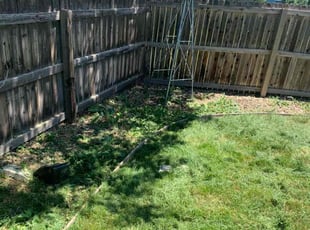 Cleanups by Brody Garth for Mohammad R. in Parker, CO