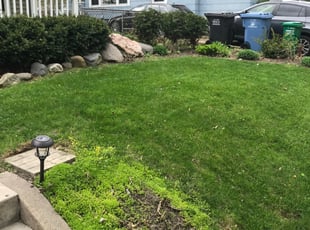 Cleanups by Ian Canfield for Kit L. in Minneapolis, MN
