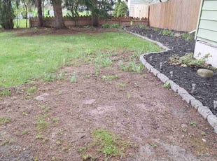 Leaf Removal by Kenneth Mercado for paige m. in Syracuse, NY