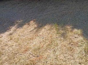 Jordan H.'s Flower Bed Weeding service result