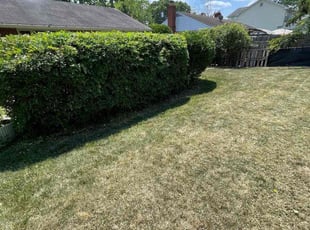 Bush Trimming by Fidel Rodriguez for Michelle G. in Springfield, VA